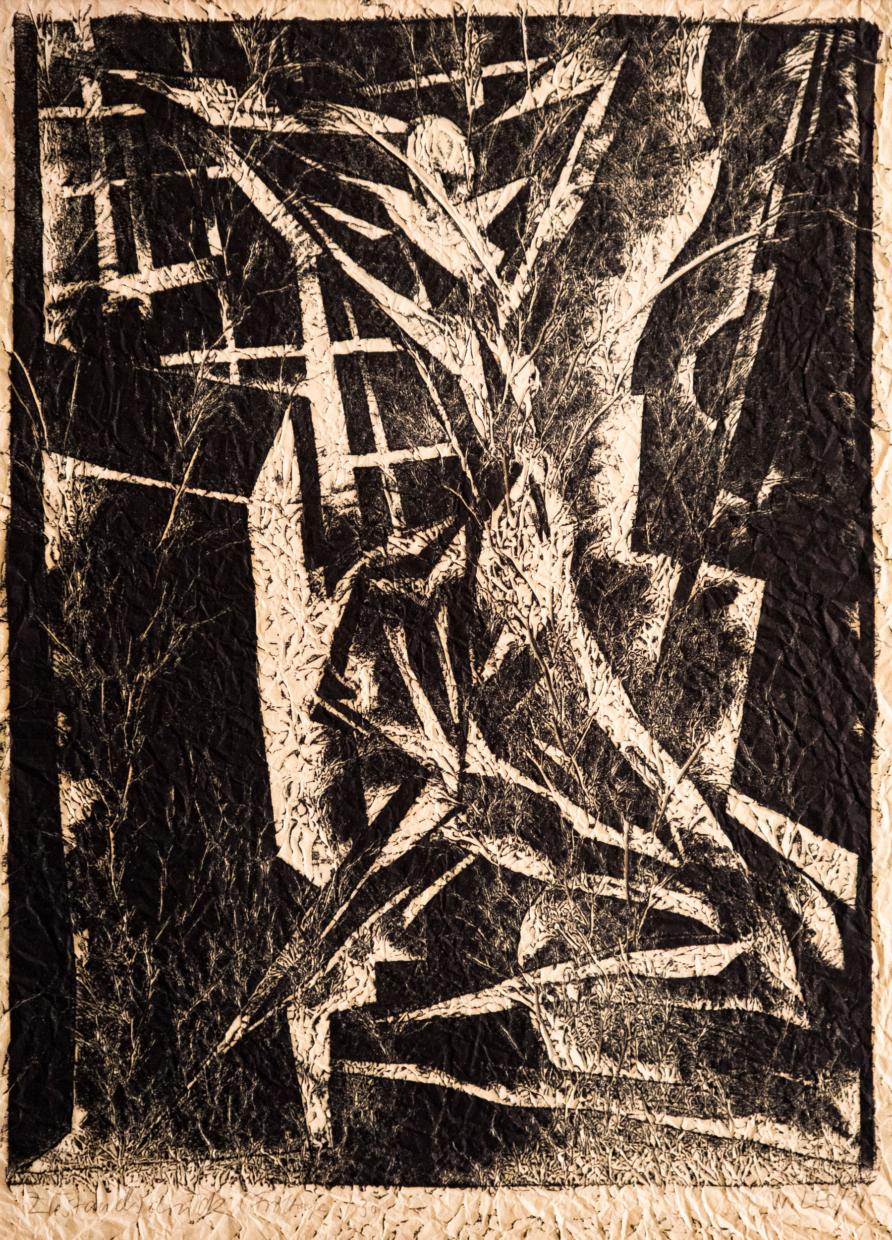 Wolf Leo - Am Fenster