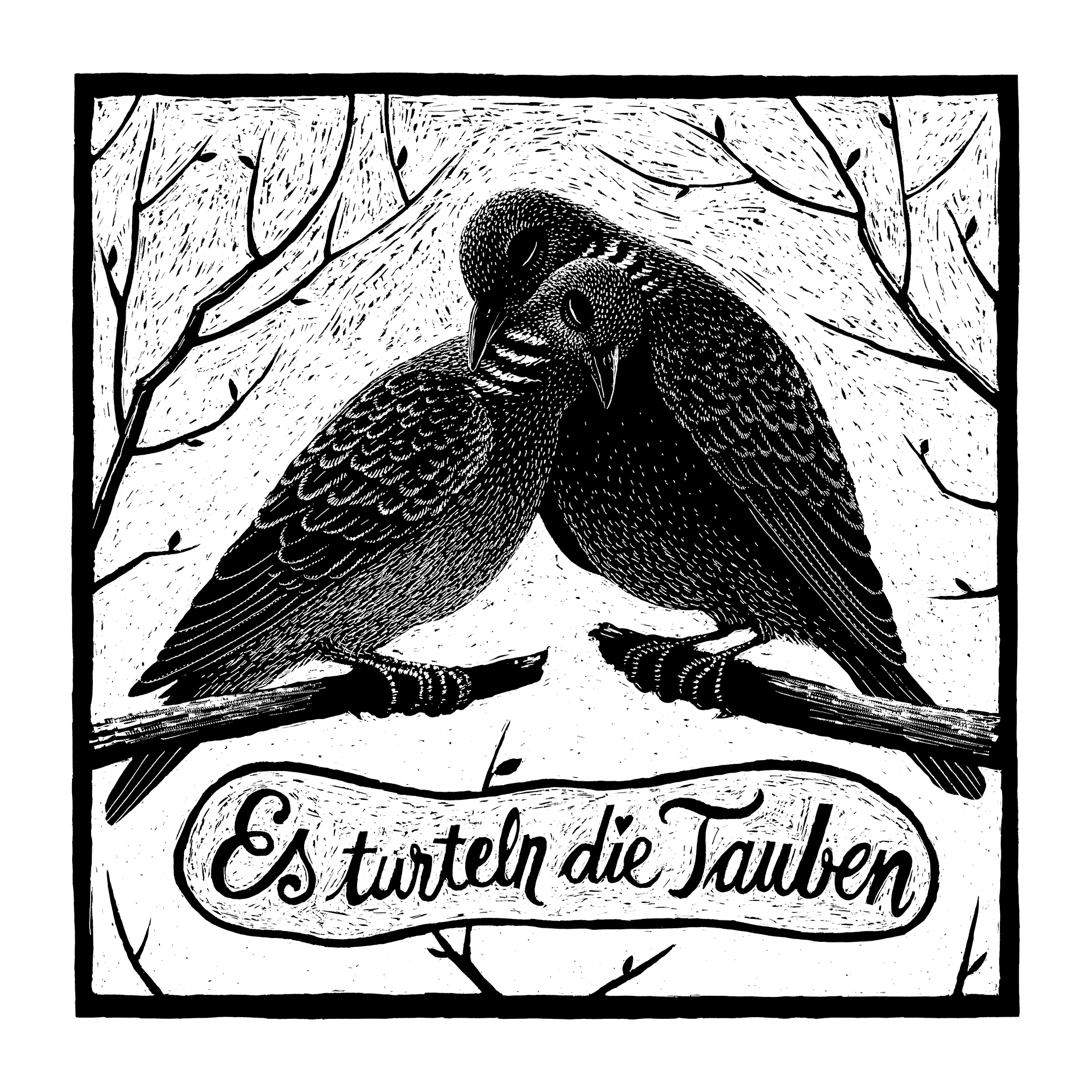 Tauben