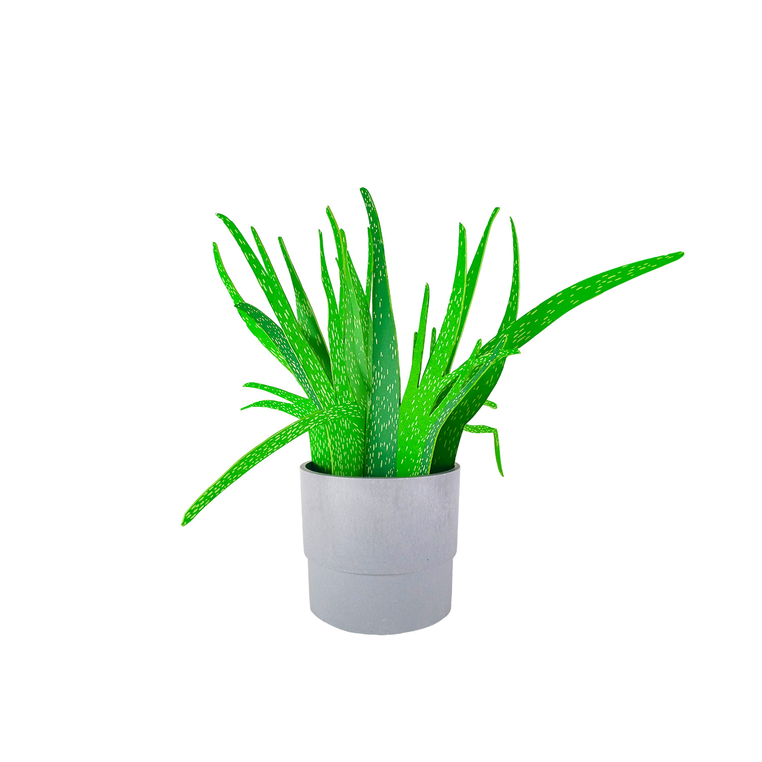 Aloe Vera – Susann Pönisch