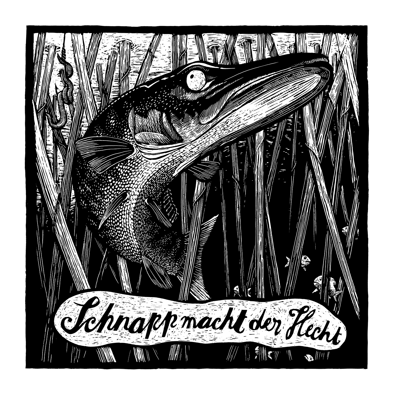 Hecht – Phillip Janta